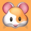 天微影视仓2025年最新版下载APP应用