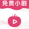 老司机开车APP应用